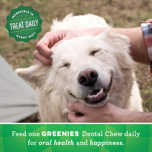Greenies Original Regular Natural Dental Care Dog Treats, 12 oz. Pack (12 Treats)...
